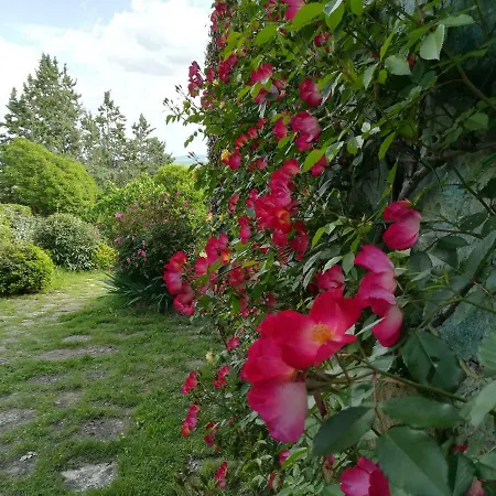 Agriturismo Le Sorbelle D'orcia Gospodarstwo agroturystyczne *